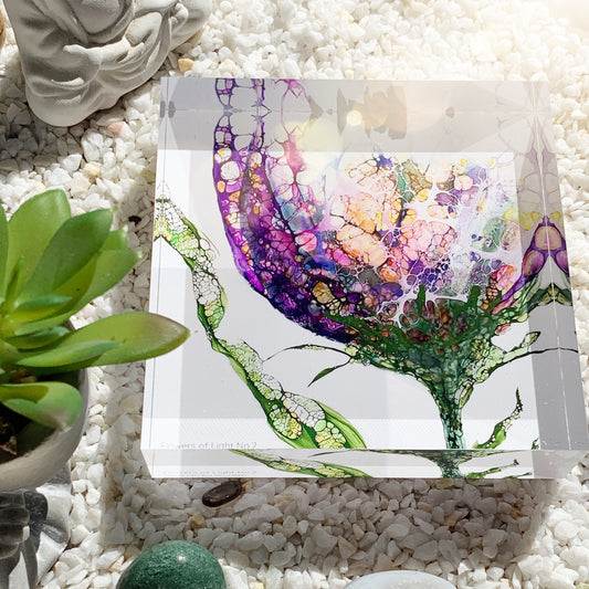 Violette Blumenblüte als Acrylglasdruck vom Sonnenlicht beschienen 