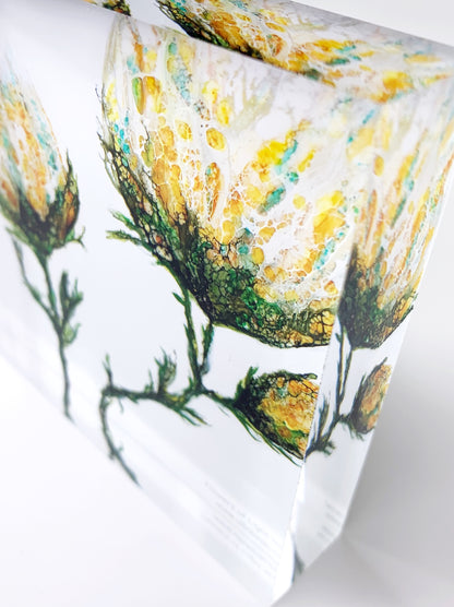 Bild mit gelben Blumenblüten auf Acrylglas