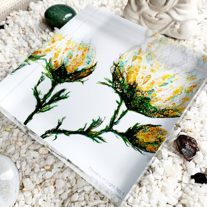 Bild mit gelben Blumenblüten auf Acrylglasblock 
