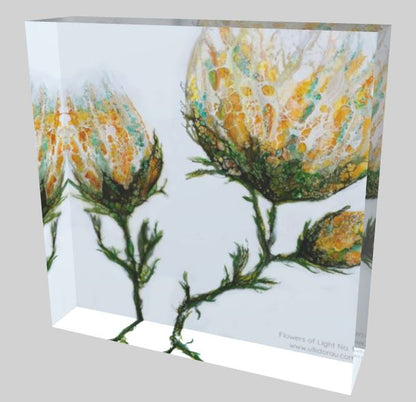 Bild mit gelben Blumenblüten auf Acrylglas